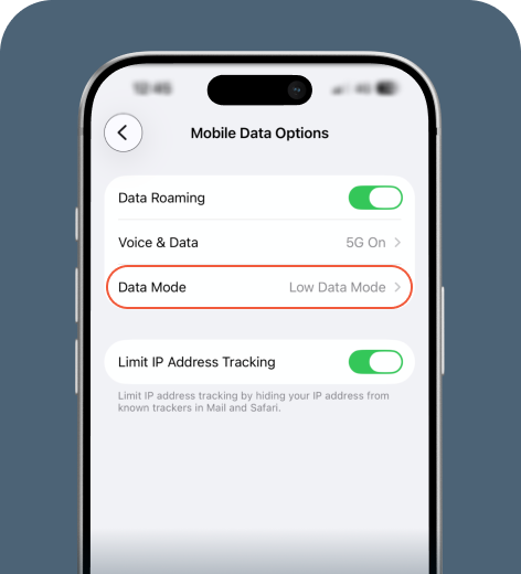 iPhone cell phone screen displaying Mobile Data Options.