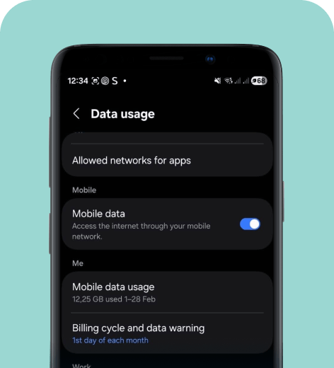 Android cell phone screen displaying the Data Usage menu.