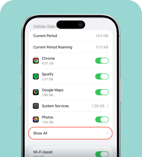 iPhone cell phone screen displaying the Mobile Service menu.