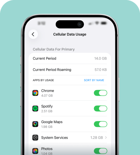 iPhone cell phone screen displaying the Mobile Data Usage menu.