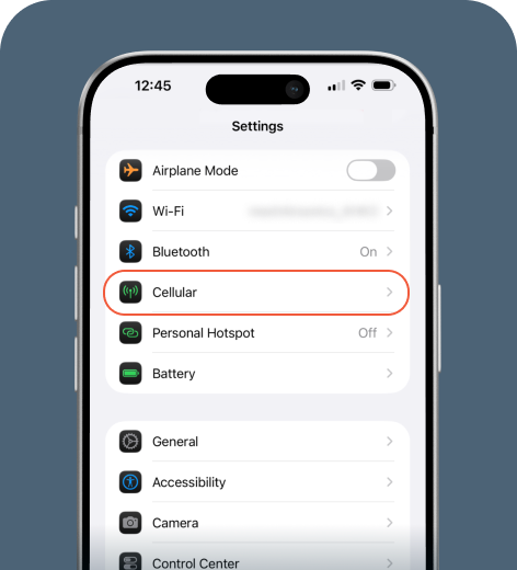 iPhone screen displaying the Settings menu.