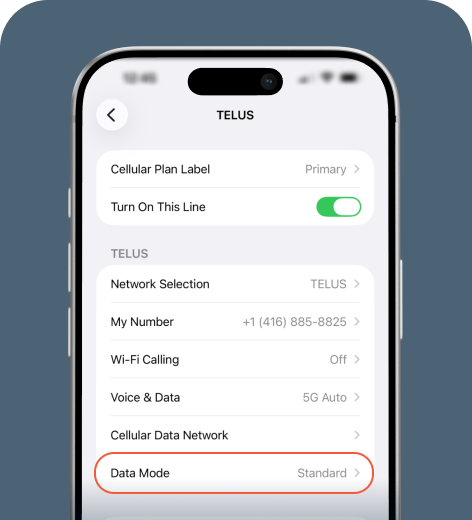 iPhone screen displaying Cellular settings.