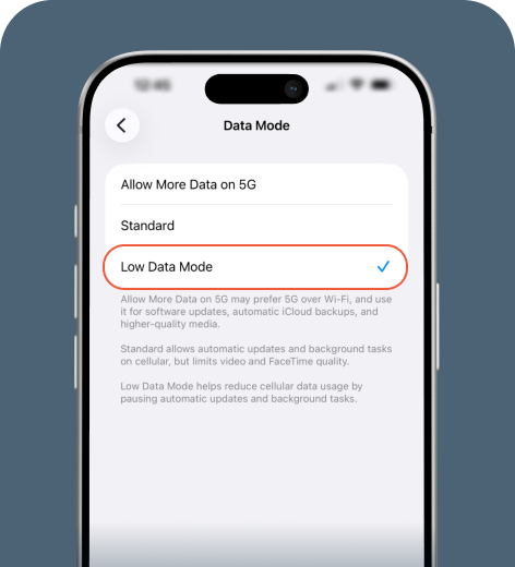 iPhone screen displaying Cellular Data Options settings.