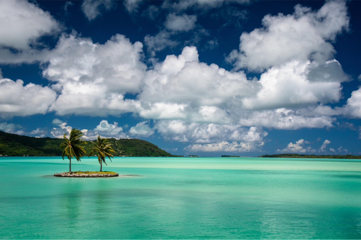 Tiny island in Bora Bora featuring two palm trees, crystal-clear ocean, and mountain backdrop.