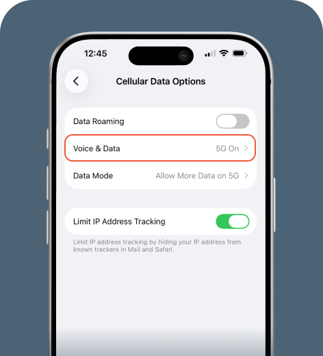 iPhone screen displaying Mobile Data Options menu.