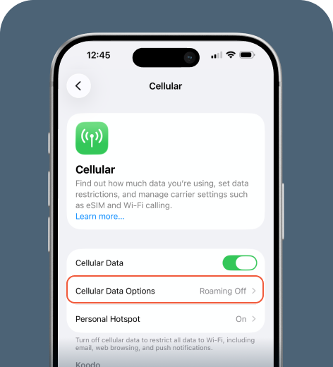 iPhone screen displaying the Cellular menu.