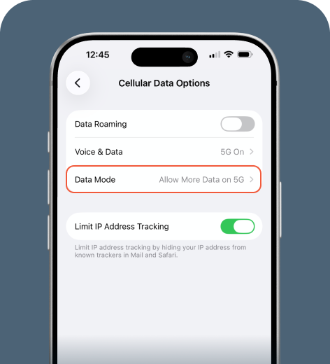 iPhone screen displaying Mobile Data Options menu.