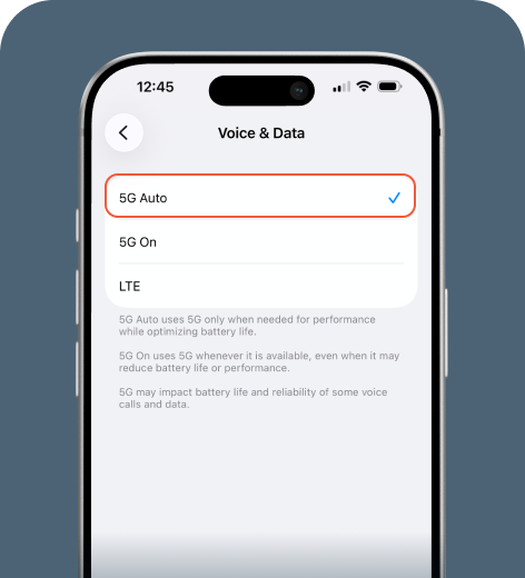 iPhone screen displaying Voice & Data menu.