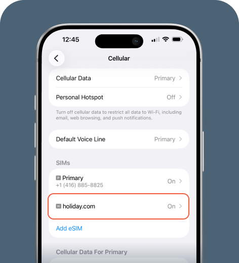 iPhone cell phone screen displaying the Cellular settings.