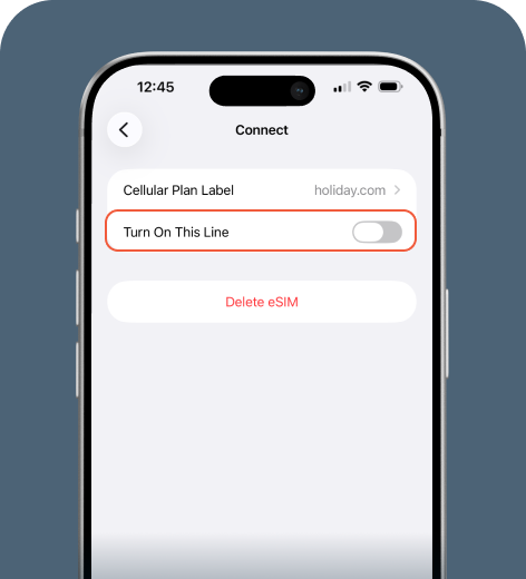 iPhone cell phone displaying the eSIM settings.