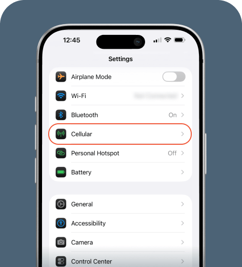 iPhone screen displaying the Settings menu.