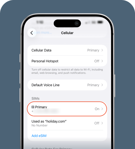 iPhone screen displaying the Mobile Service menu.