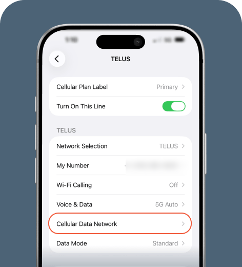 iPhone screen displaying the APN settings menu.
