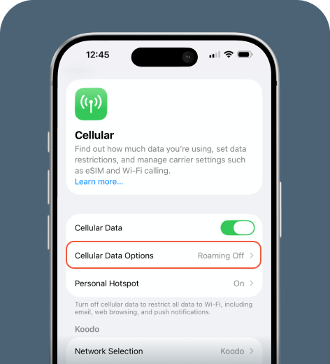 iPhone cell phone screen displaying the Cellular menu.