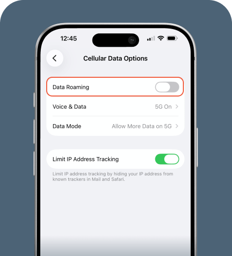 iPhone cell phone screen displaying the Cellular Data Options menu.